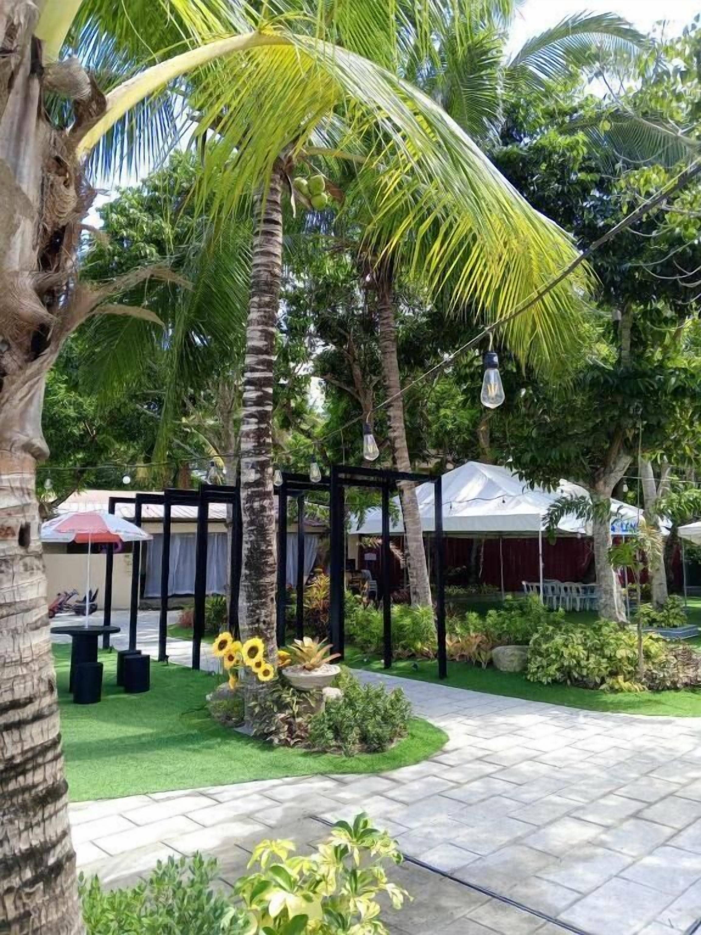 A tropical garden with palm trees, a gazebo, and a paved walkway.
