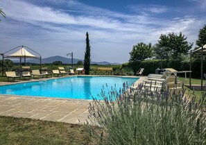 Seasonal outdoor pool, pool umbrellas - Agriturismo La Colmata (Monte San Savino)