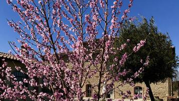 Façade de lâhĂ©bergement