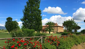 View from property - Agriturismo La Colmata (Monte San Savino)