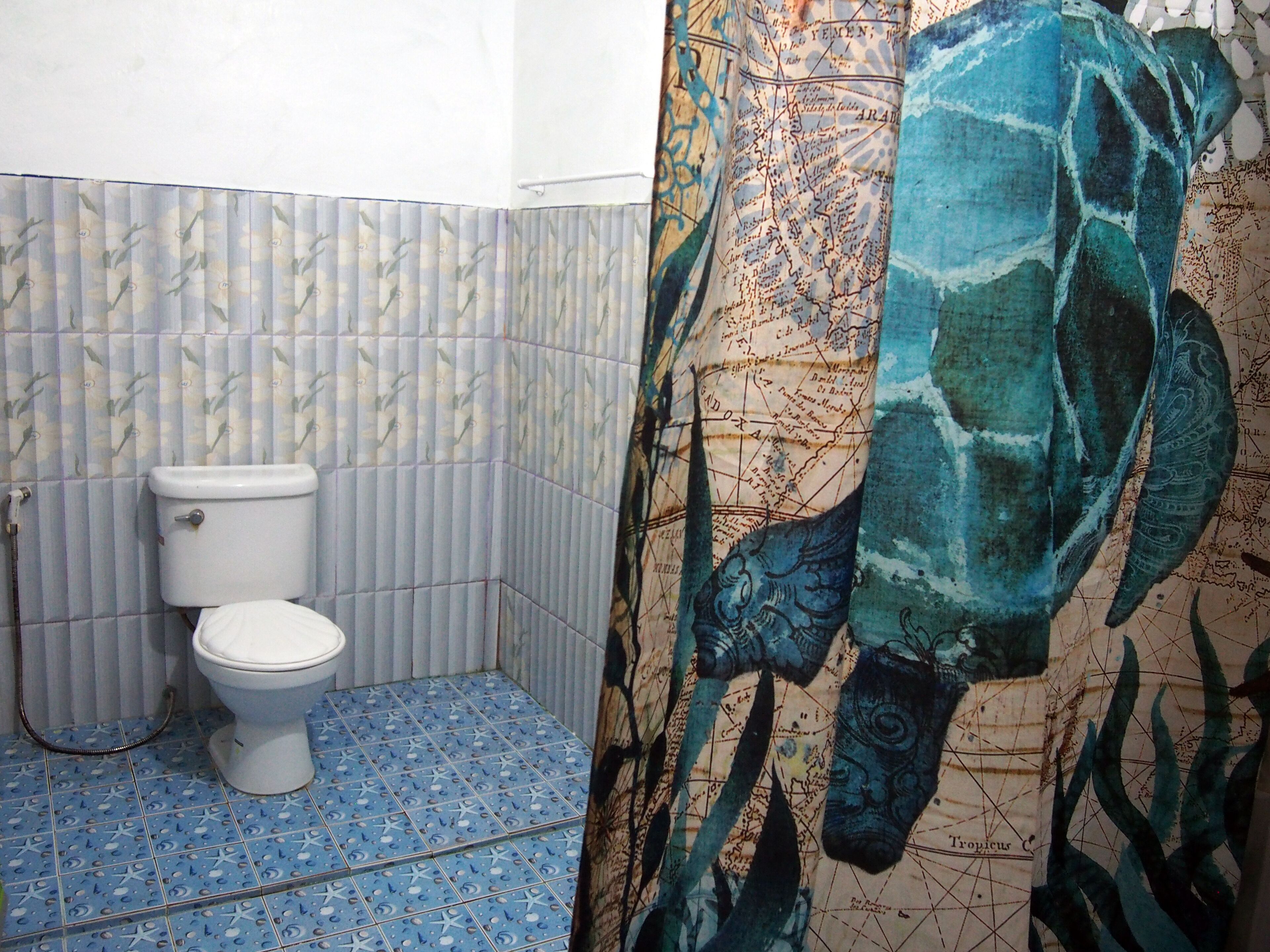 standard room  | bathroom shower