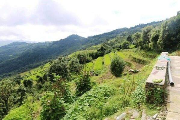 A terraced hillside with a stone pathway and a pipe running alongside it.