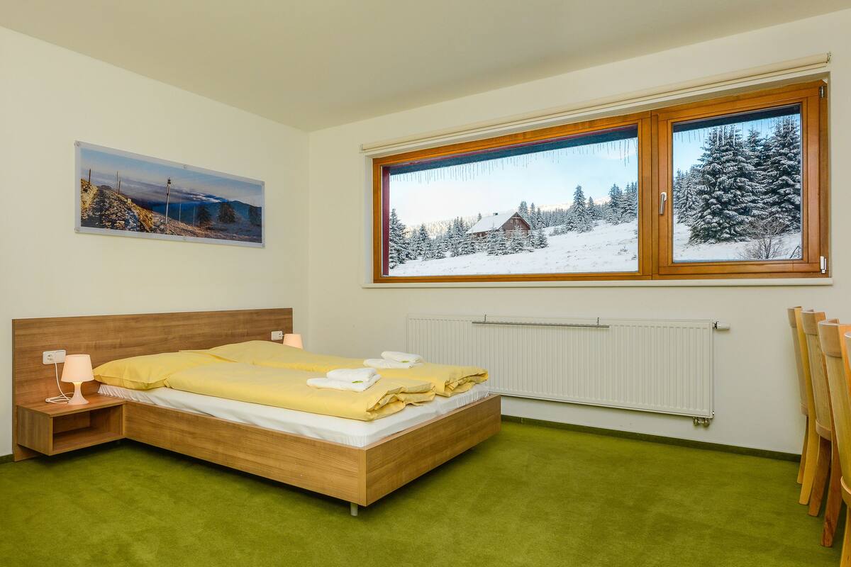 A room with a bed, a nightstand, a window with a view of a snowy landscape, and a radiator.