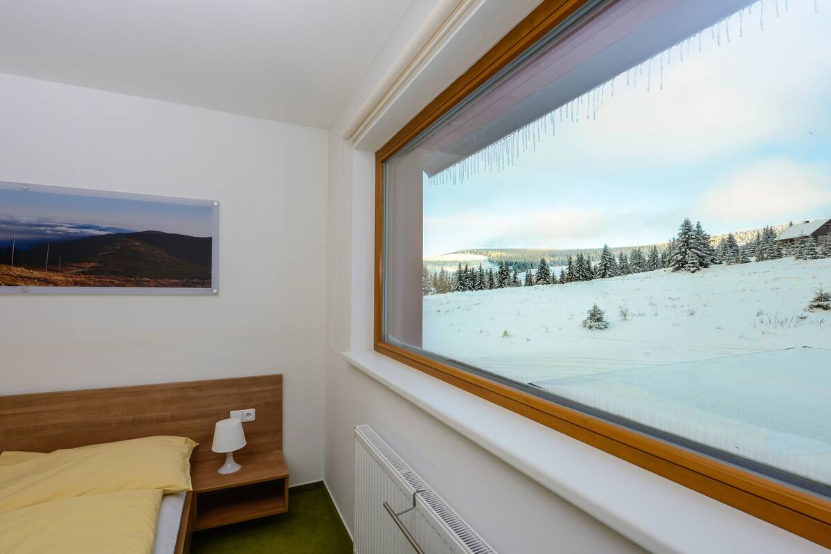 Desk, cribs (free), rollaway beds (surcharge), WiFi (free)
