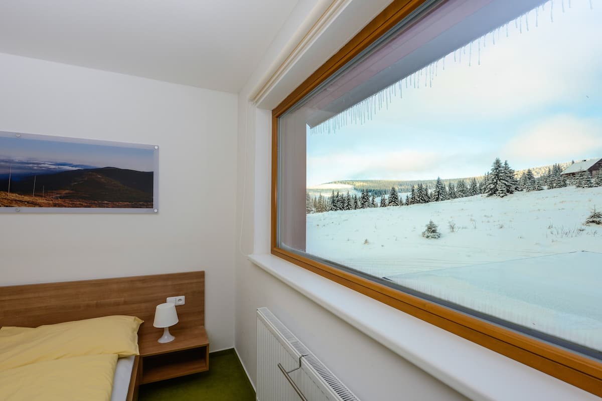 Desk, free cots/infant beds, rollaway beds, free WiFi