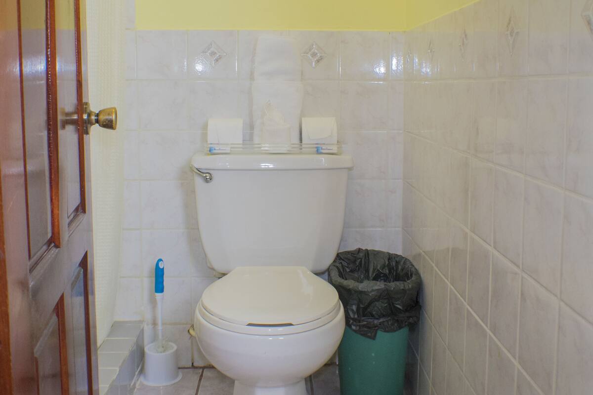 Un baño pequeño con inodoro, un bote de basura y un dispensador de papel higiénico.