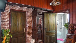 Una stanza con pareti rivestite in legno, una parete in mattoni e una porta in legno. Sul pavimento, un termosifone bianco e, nell'angolo, una pianta.