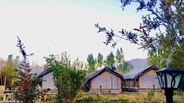 A row of yurts with a stone foundation, surrounded by greenery and a mountain in the background. - D Camp (Leh)
