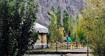 D Camp