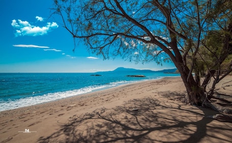 Una playa cerca