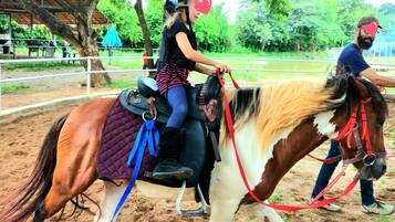 บริเวณภายนอก