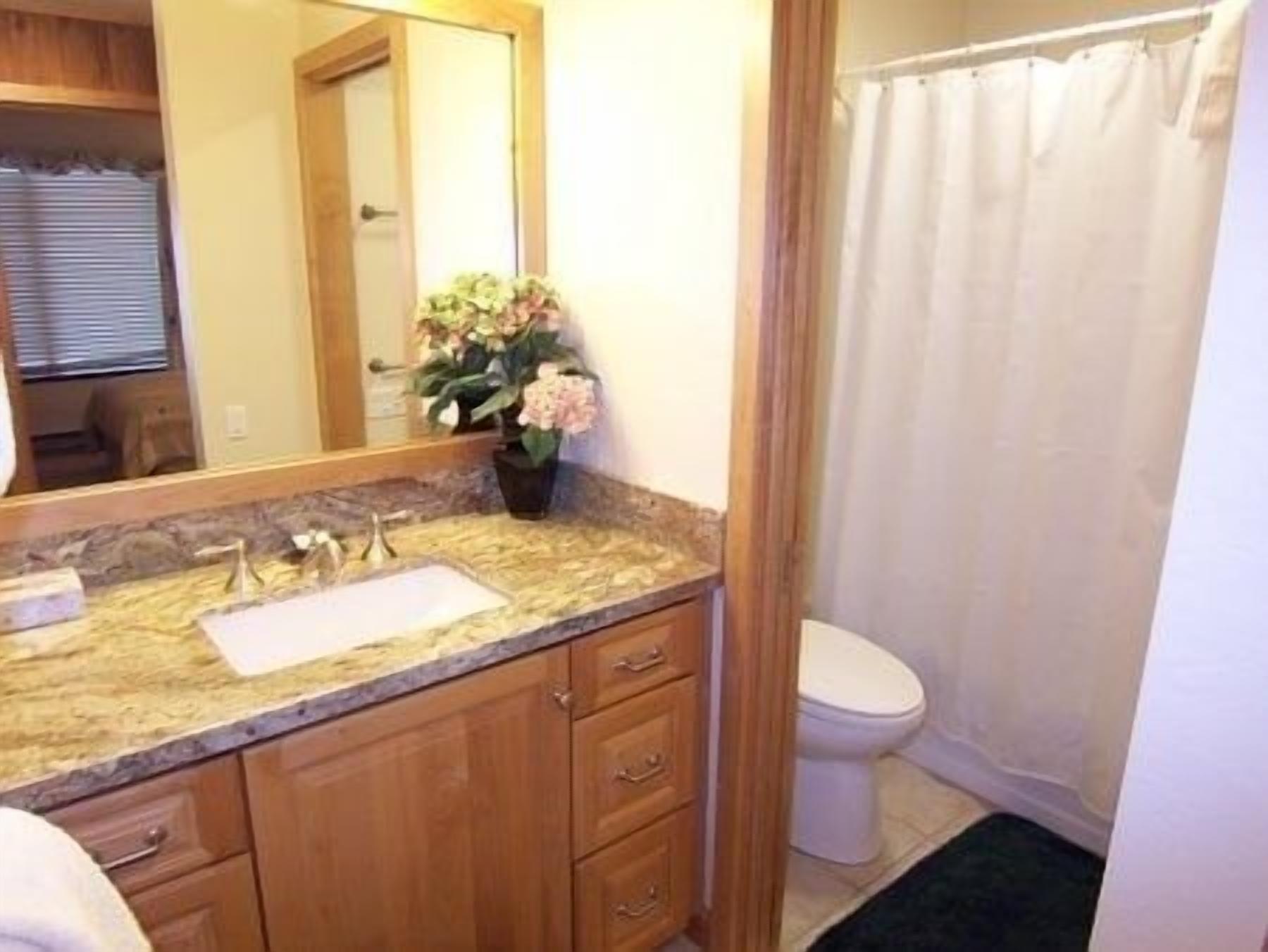 A bathroom with a wooden vanity, a sink, a mirror, a toilet, and a shower curtain.