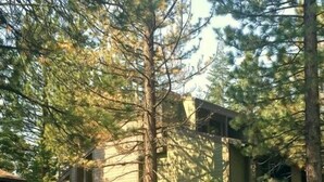 A swimming pool with a wooden deck, surrounded by a metal fence and trees. - 114 Premium Condo (Mammoth Lakes)