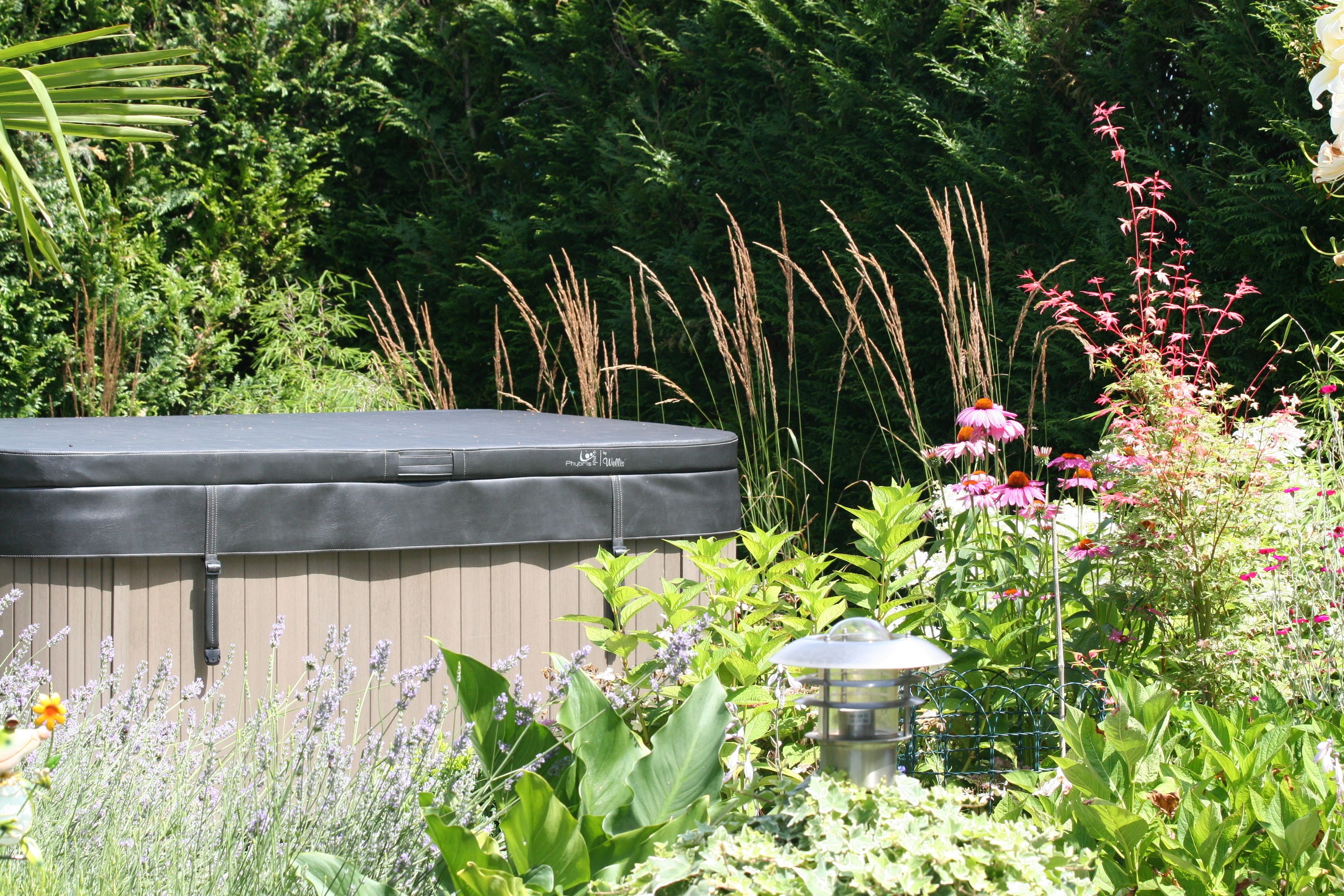 A hot tub surrounded by lush greenery and various plants.