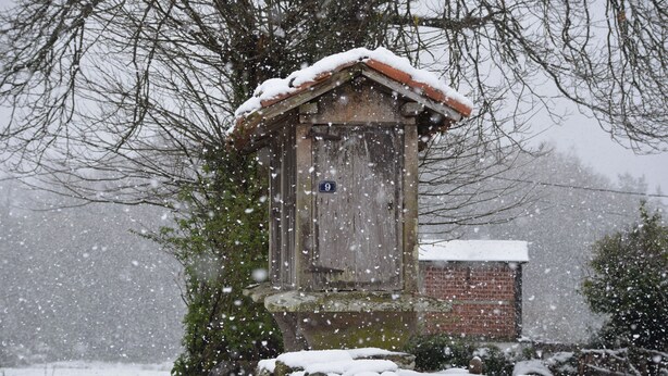 A wooden outhouse with a number '9' sign, surrounded by snow-covered ground and trees. - Albergue A Casiña di Marcello - Hostel (Palas de Rei)