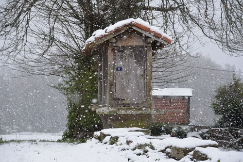 Albergue A Casiña di Marcello - Hostel