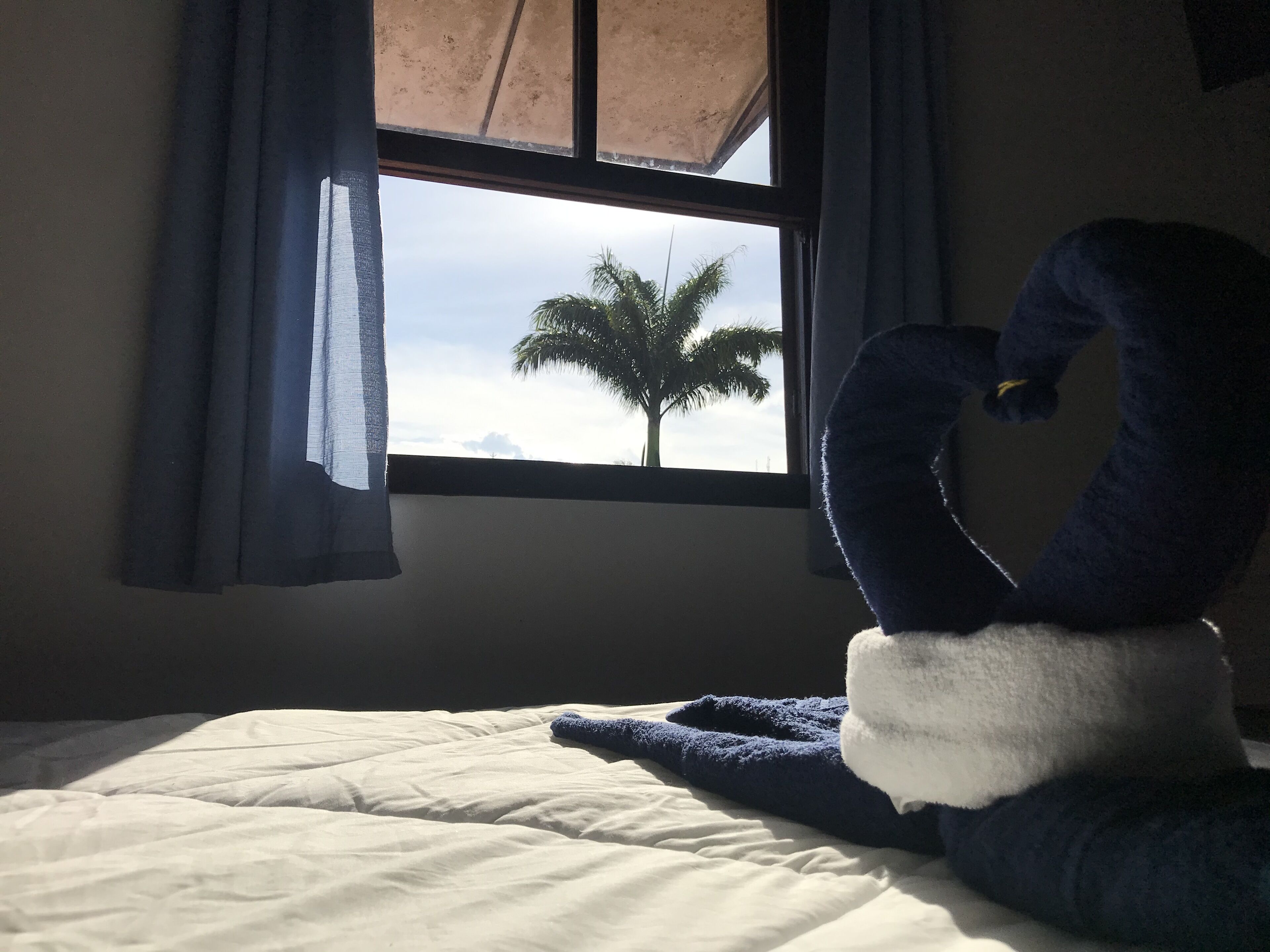 Uma cama com uma toalha azul e branca em formato de cisne, uma janela com vista para uma palmeira e uma cortina cobrindo parcialmente a janela.