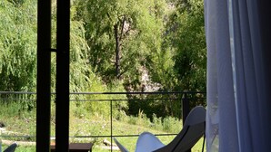 Habitación estándar doble, 1 cama de matrimonio, vistas al río | Vistas desde la habitación