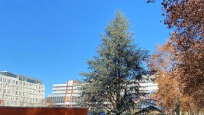 Un cartel con el logotipo del Consejo de Europa y texto frente a un edificio de arquitectura moderna.