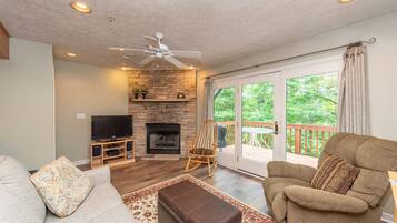 TV, fireplace, DVD player