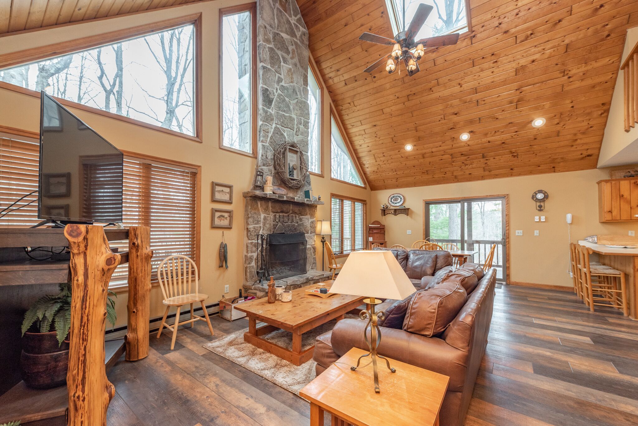 Télévision, cheminée, lecteur de DVD