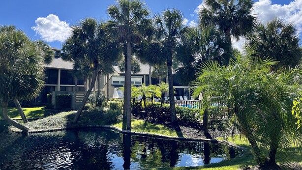 A pool surrounded by palm trees and a building with a flat roof. - Enjoy family time in this Gold-rated condo with quick access to the beach! (Saint Augustine)