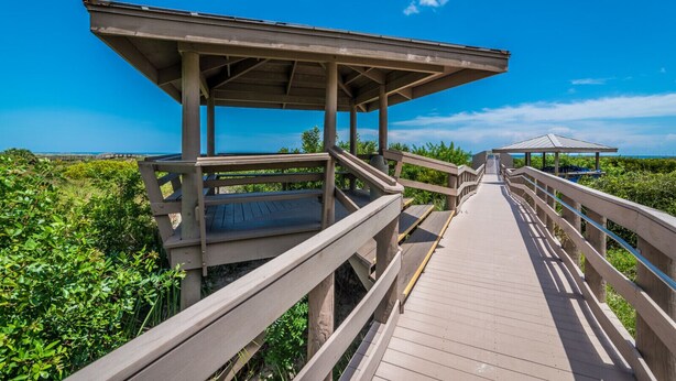 Un paseo marítimo de madera que conduce a una plataforma de observación cubierta con techo metálico, rodeado de exuberante follaje y un cielo azul despejado.