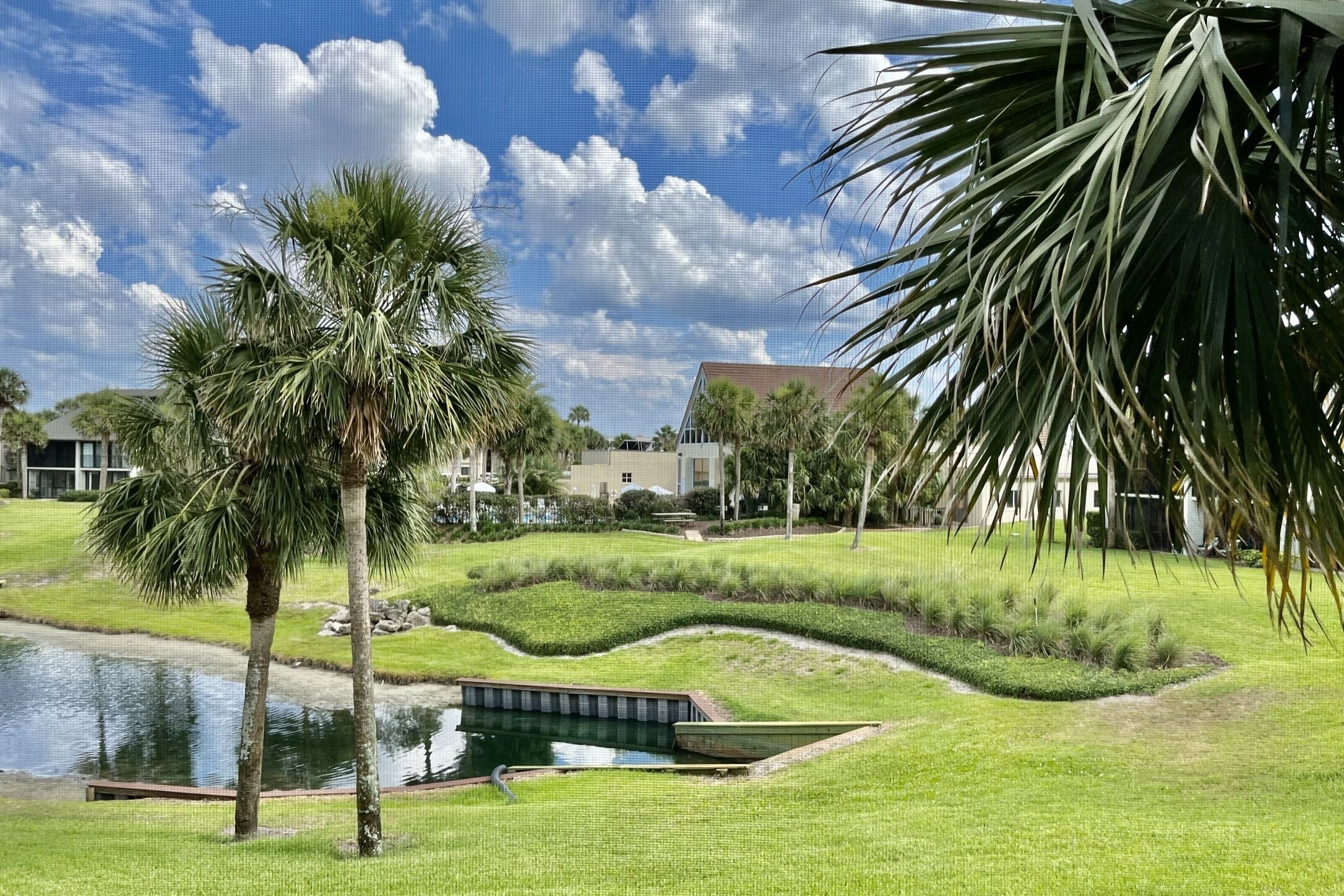 A landscaped garden with palm trees, a pond, and a pathway.