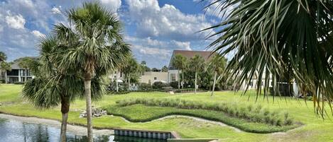 A landscaped garden with palm trees, a pond, and a pathway.
