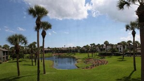 Ein Golfplatz mit Teich, Palmen und Wohnhäusern im Hintergrund.