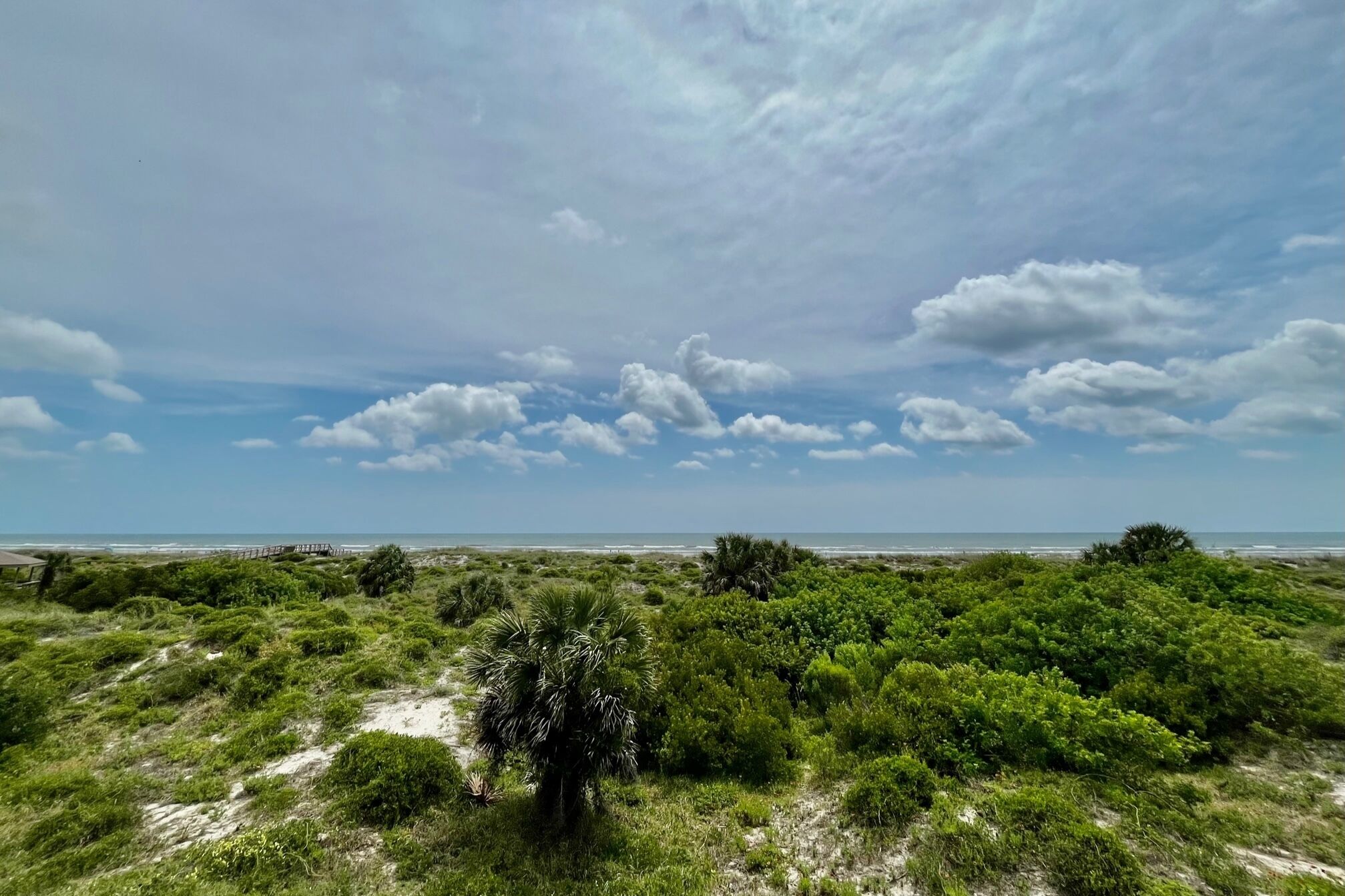 A coastal landscape with dense greenery and a wooden structure in the distance.