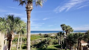 A view of a beach with palm trees and a clear sky. - Comfortable Gold-rated condo perfect for the best vacation yet! (Saint Augustine)