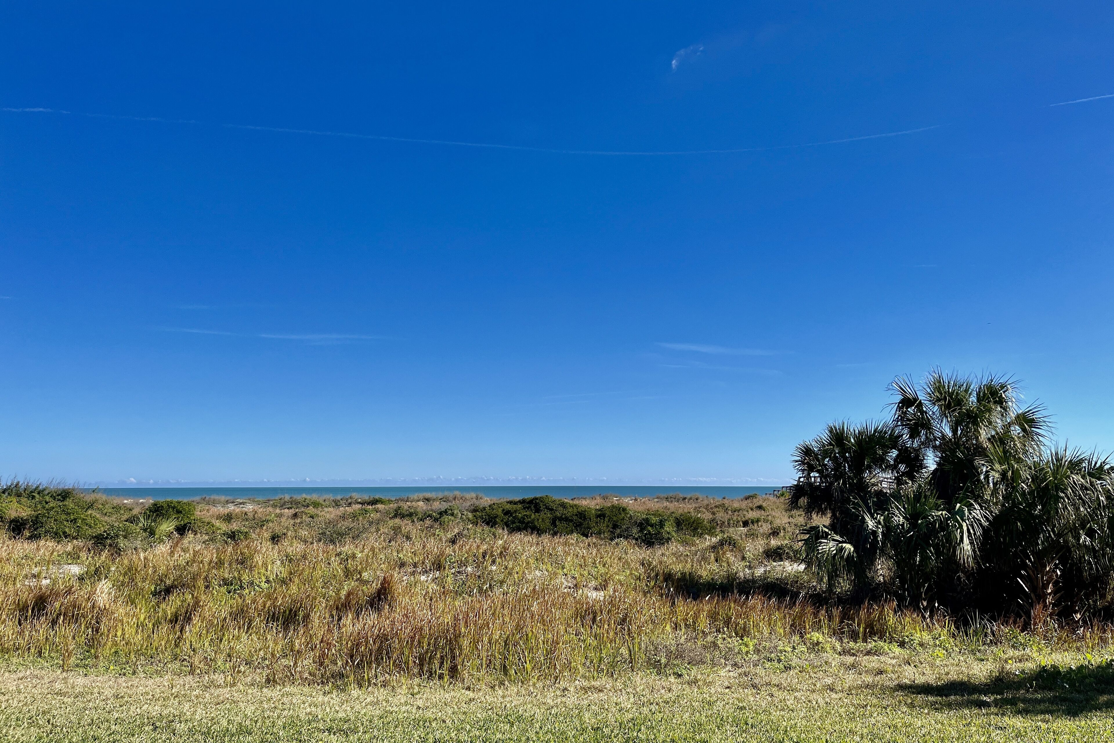 Eine Küstenlandschaft mit blauem Himmel, einer Palme und weiter Aussicht auf das Meer.