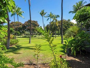 Property grounds - Tropical Style! Fairway View Lanai, Washer/Dryer, WiFi, Kitchen Ease, TV Kanaloa 402 (KAILUA-KONA)