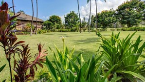 A well-maintained garden with palm trees, a lawn, and a building in the background. - Tasteful Island Decor+Lanai w/Wet Bar, Full Kitchen, TV, WiFi, Washer/Dryer Kanaloa 301 (KAILUA-KONA)