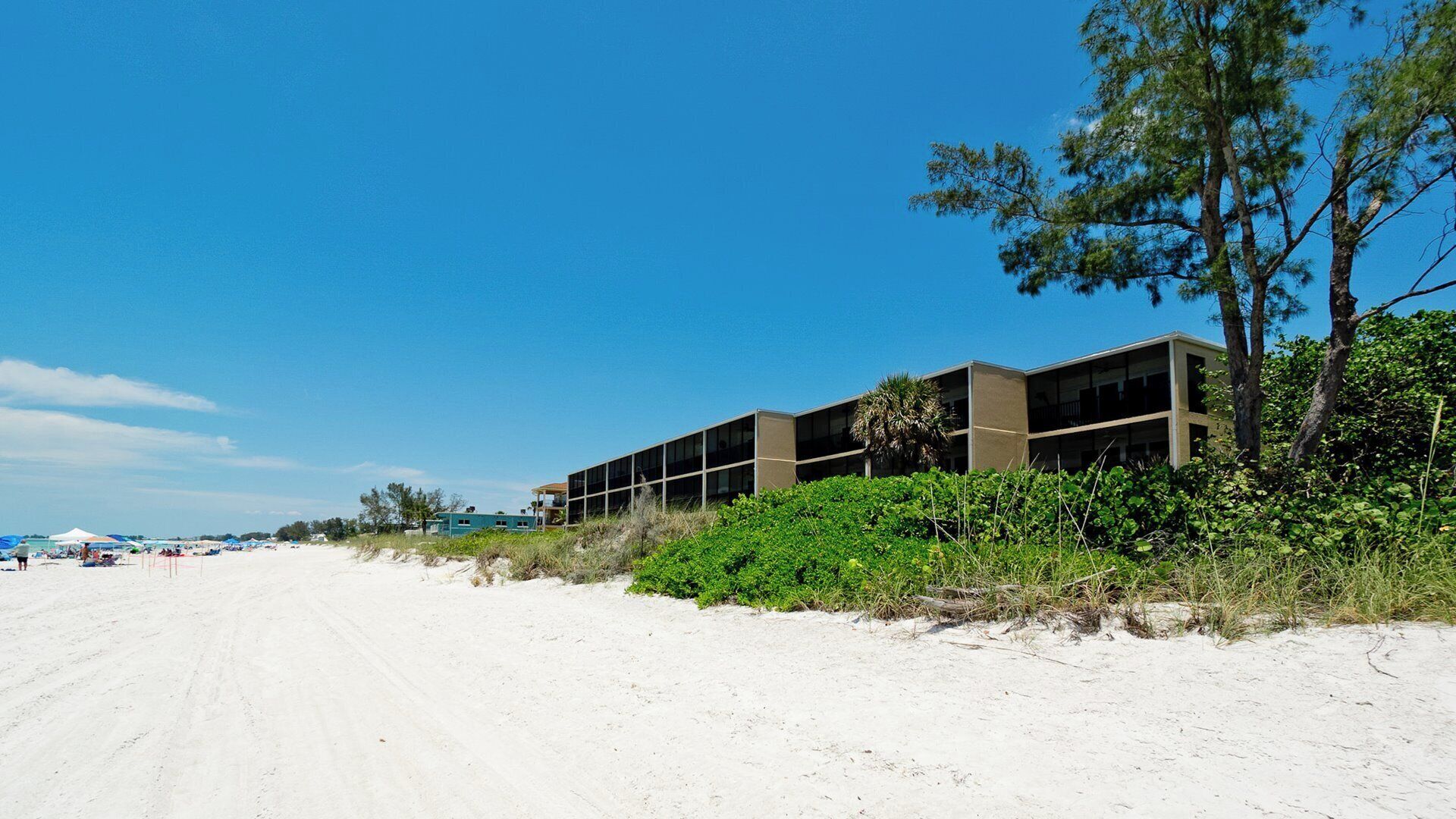 Strand