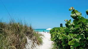 Ein Strandweg mit Sand, Vegetation und blauem Himmel.