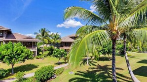 A resort with multiple buildings, palm trees, and well-maintained lawns.