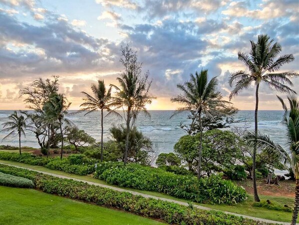 A coastal landscape with palm trees and a pathway leading to the beach.