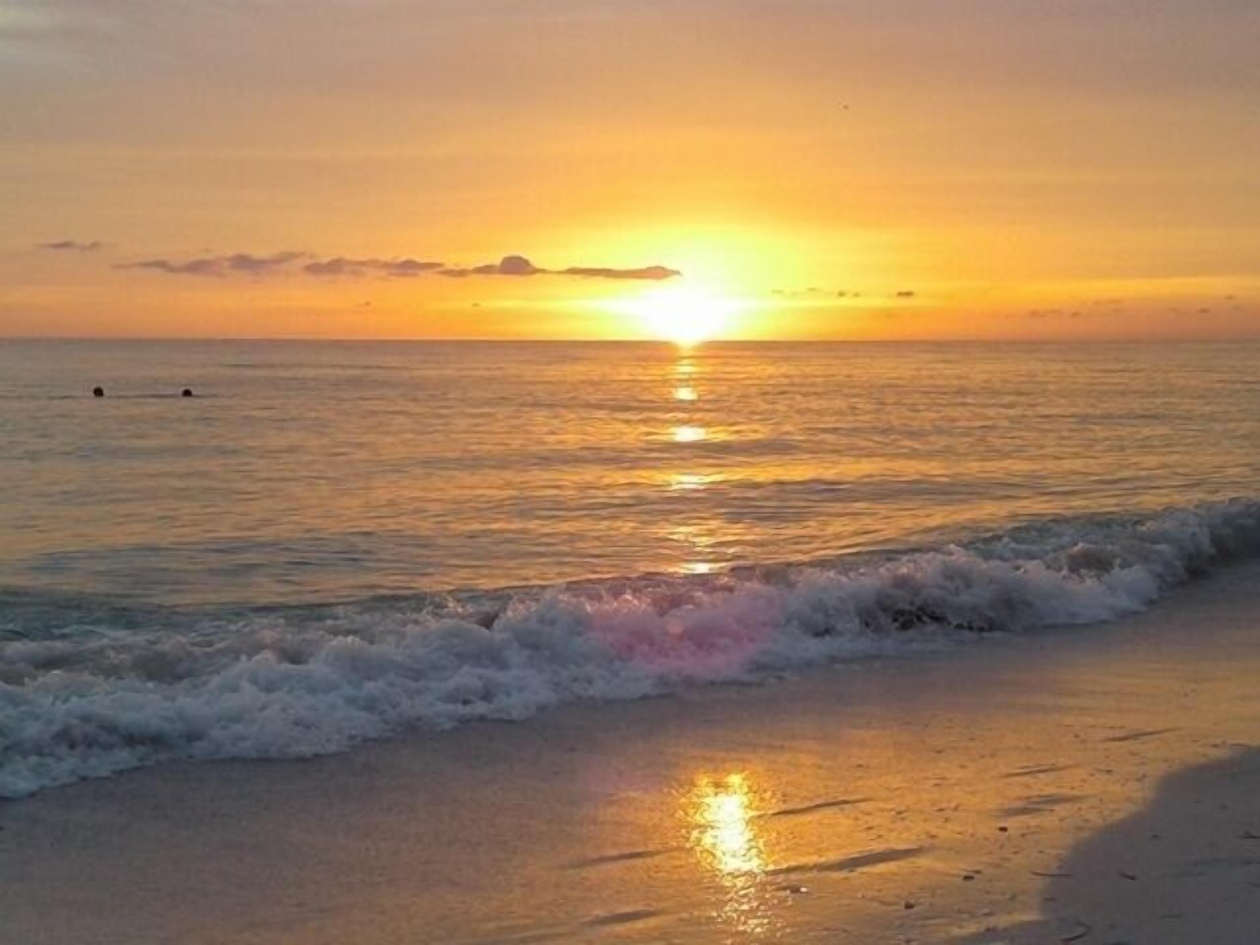 Playa en los alrededores y camastros 