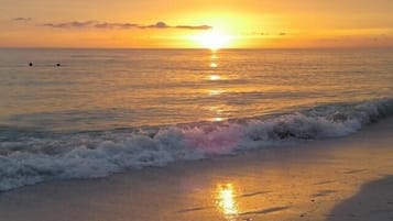 Playa en los alrededores y camastros