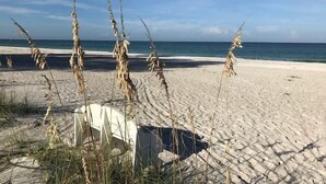Beach nearby, sun loungers