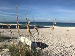 Playa en los alrededores y camastros 