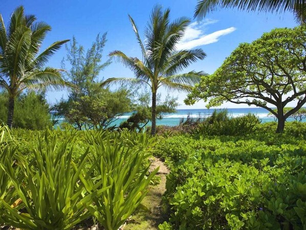 A tropical garden with palm trees and a pathway leading to a beach. - 1 Bedroom Condo w/Epic Ocean View - Kaha Lani 319 (LIHUE)