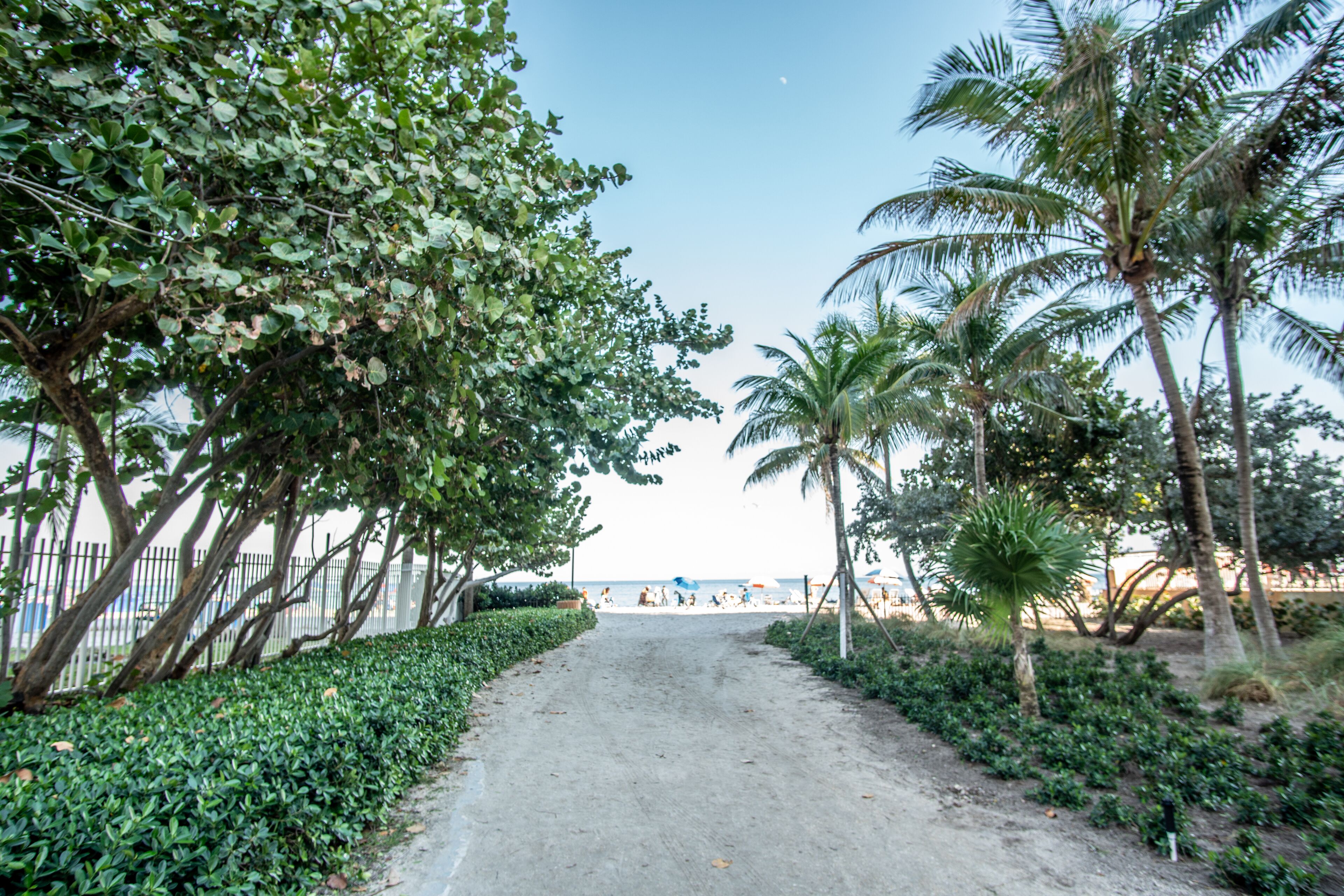 Un sendero que lleva a una playa con palmeras y una valla en un costado.