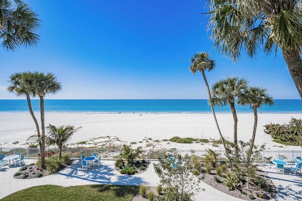 Vista a la playa con palmeras, una playa de arena y una zona de piscina con sillas.