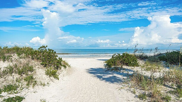 A sandy beach path leading to the ocean with sparse vegetation on either side. - Reflections 804 - GULF FRONT Condo! (Indian Rocks Beach)
