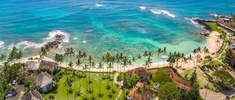 An aerial view of a coastal resort with beachfront properties, palm trees, and ocean views.