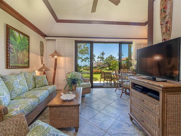 電視、DVD 播放機