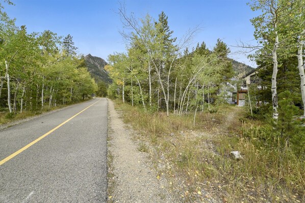 A rural road flanked by trees and a mountain in the distance.